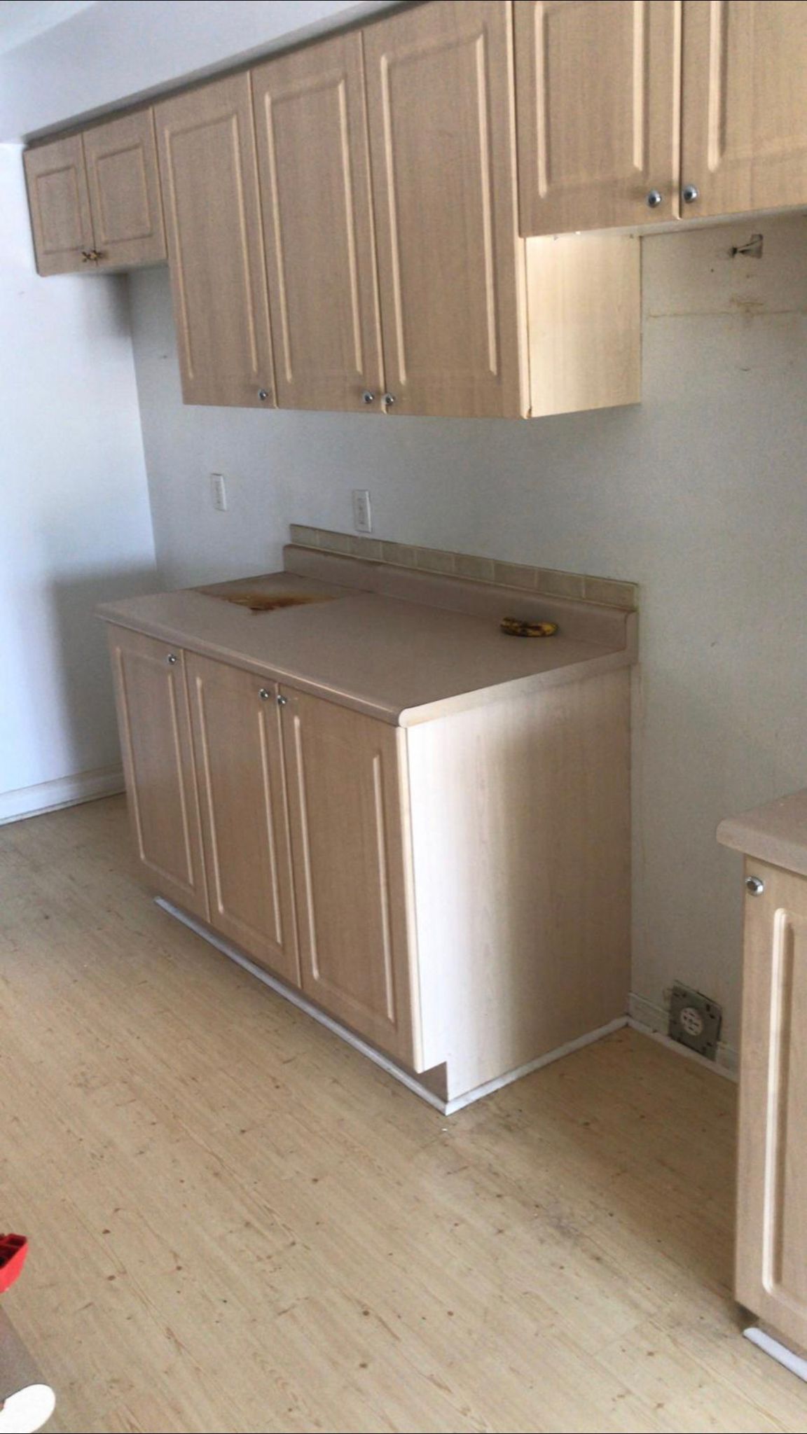 WhatsApp Image 2025-12-05 at 5.19.35 AM (2)