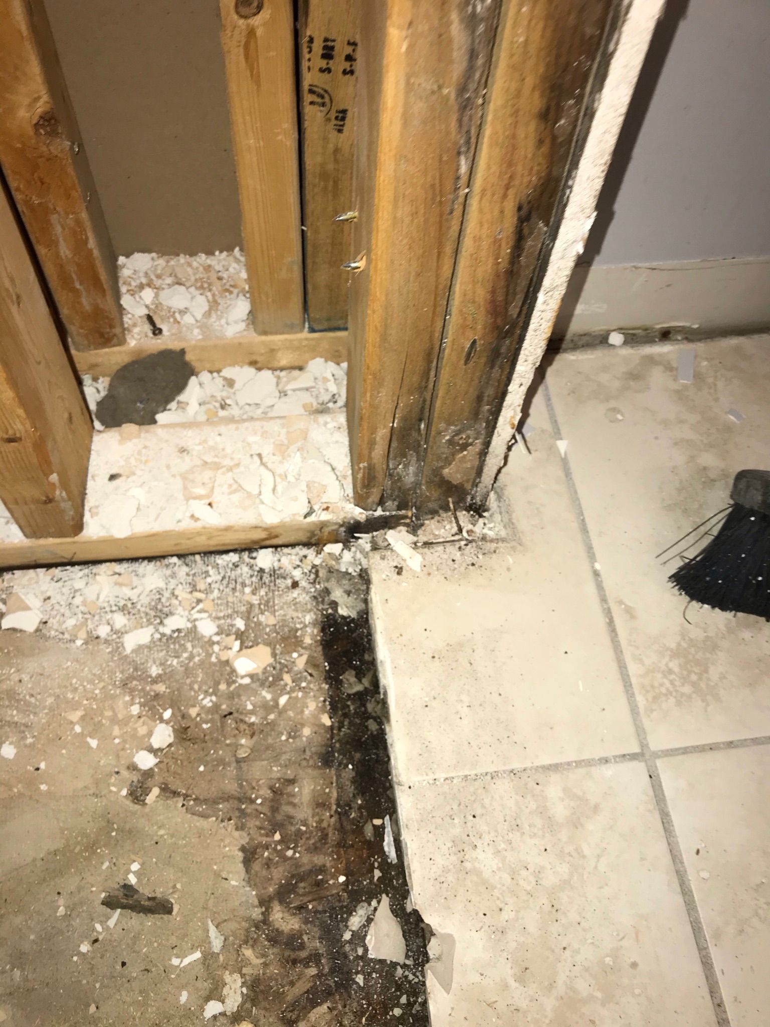 WhatsApp Image 2025-12-05 at 5.55.26 AM