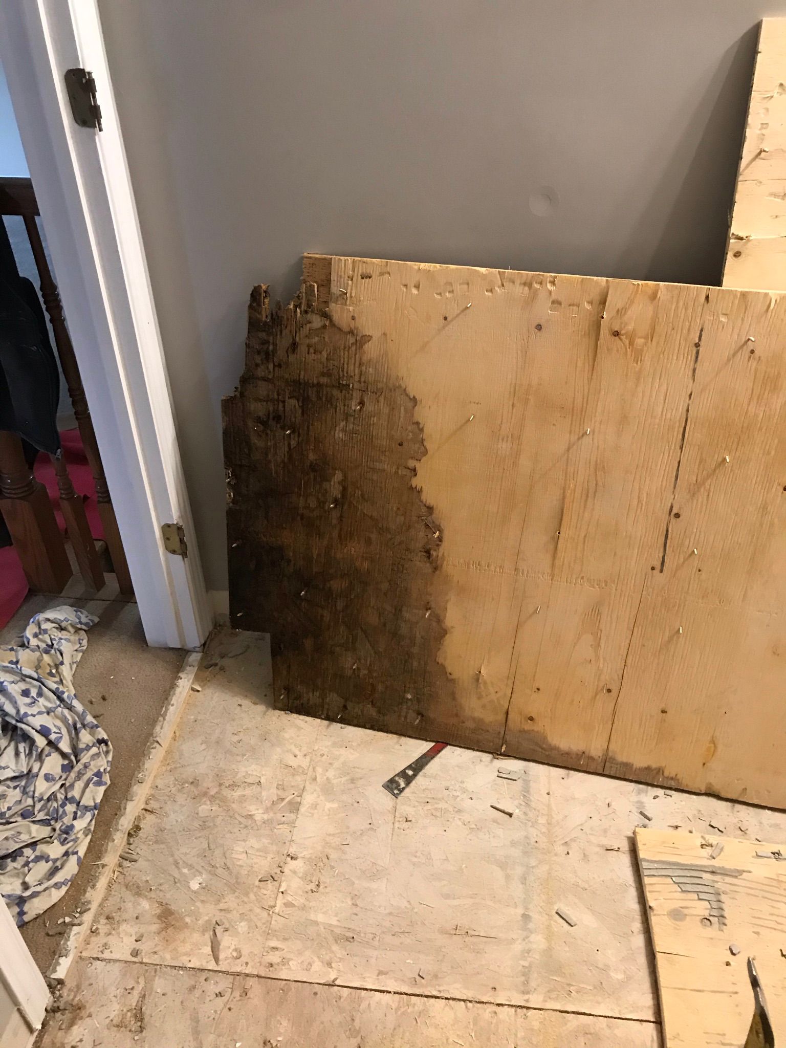 WhatsApp Image 2025-12-05 at 5.55.29 AM