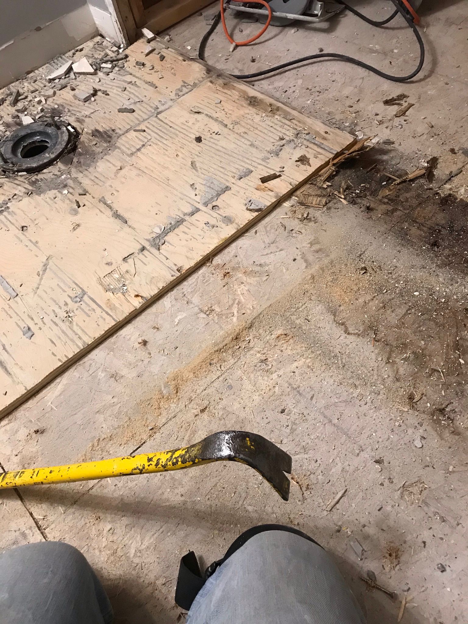 WhatsApp Image 2025-12-05 at 5.55.30 AM