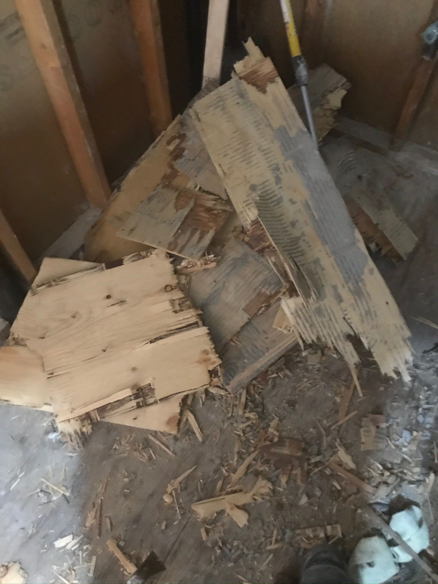 WhatsApp Image 2025-12-05 at 5.55.32 AM